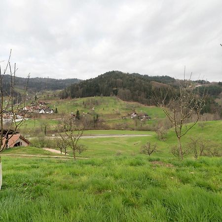 Haus Am Schroffen Διαμέρισμα Ottenhofen im Schwarzwald Εξωτερικό φωτογραφία