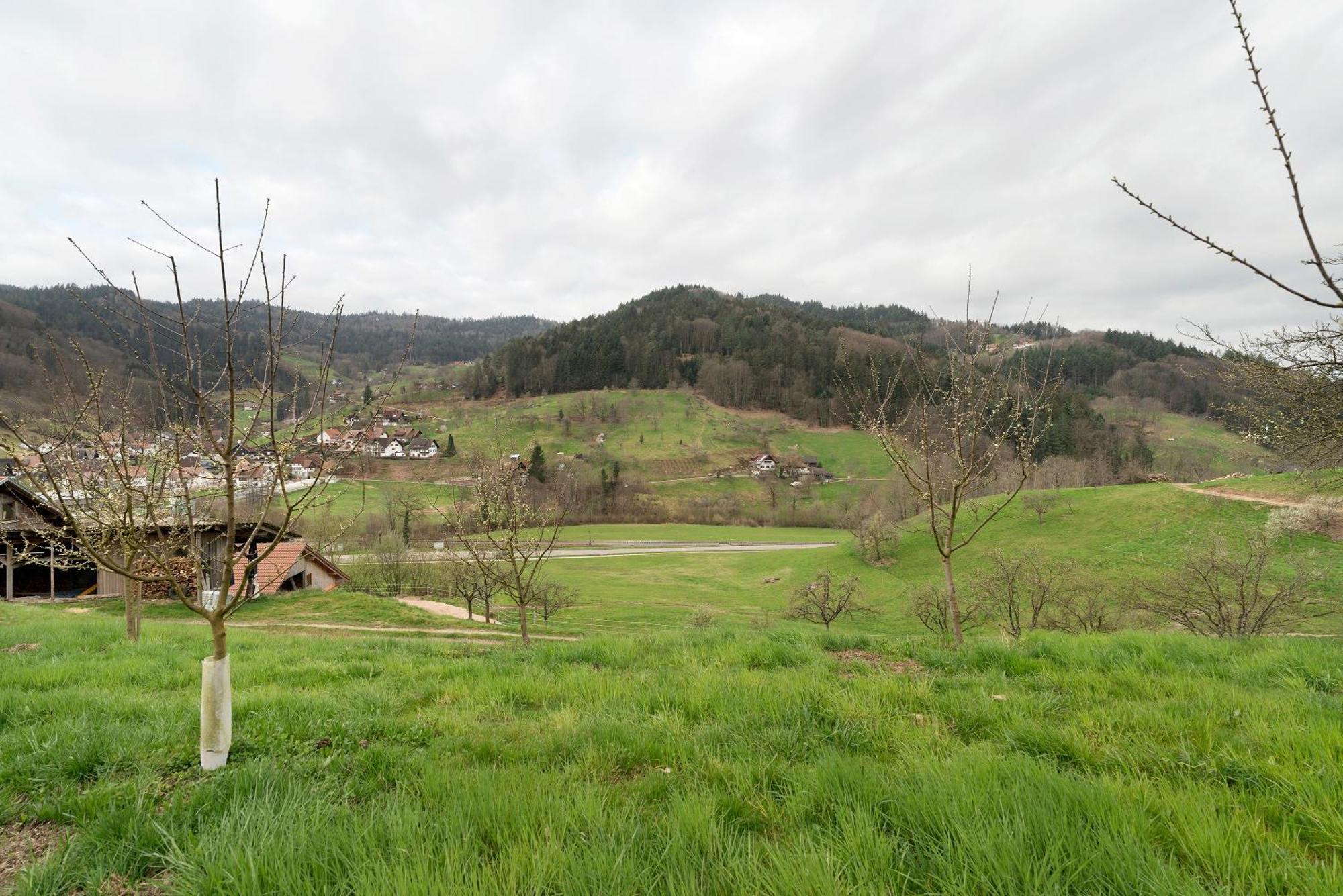 Haus Am Schroffen Διαμέρισμα Ottenhofen im Schwarzwald Εξωτερικό φωτογραφία