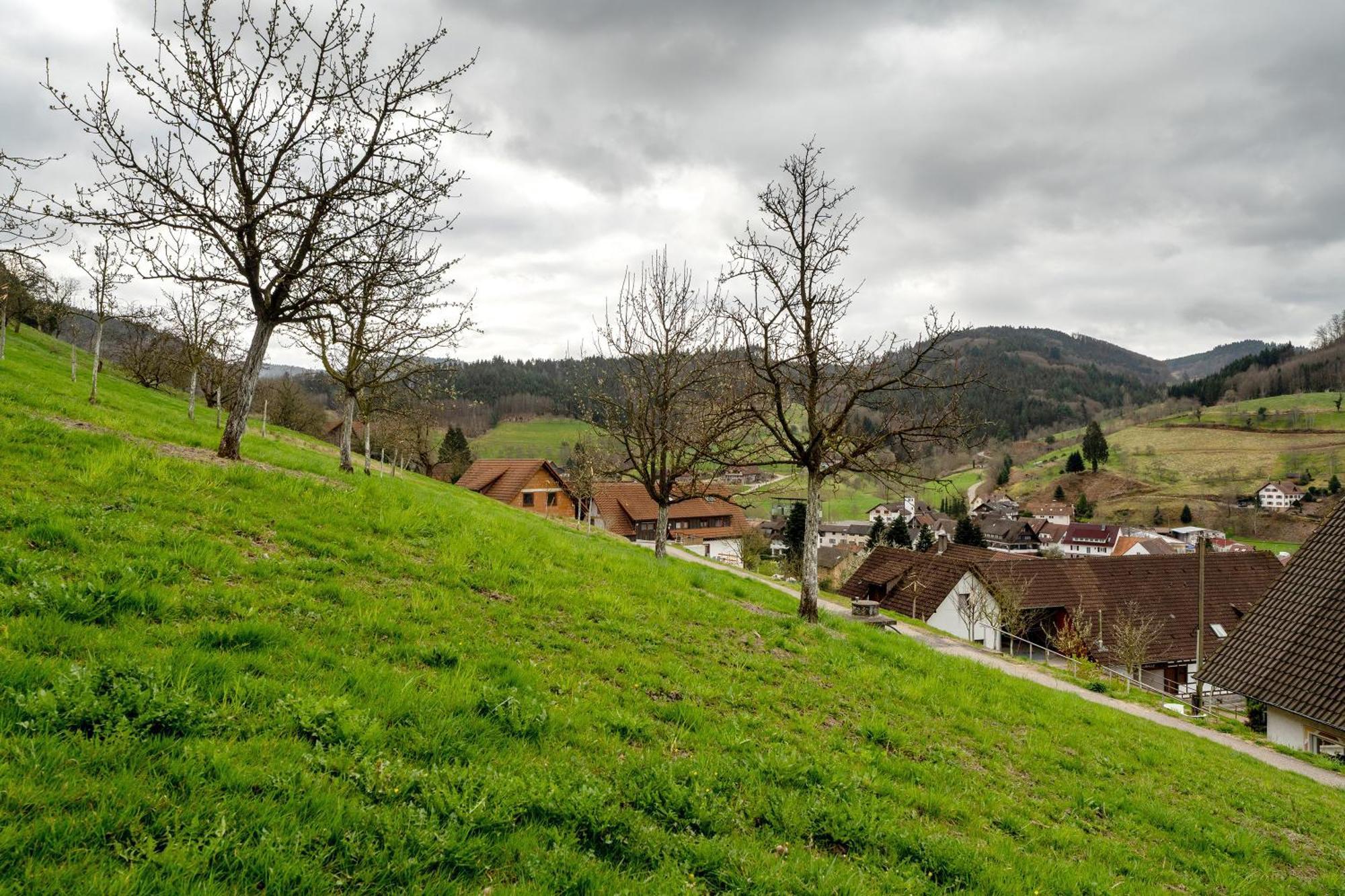 Haus Am Schroffen Διαμέρισμα Ottenhofen im Schwarzwald Εξωτερικό φωτογραφία